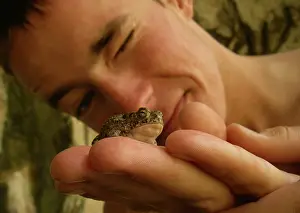 Inspecting: Teenager Inspecting Woodhouse's Toad