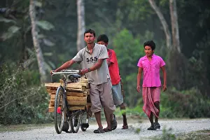 Bicycles: Teenagers with firewood on bicycle
