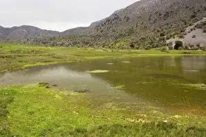 Temporary: Temporary Pond on the Omalos plateau, White Mountains, Crete