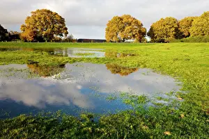 Temporary: Temporary Pond - rare and endangered habitat, home