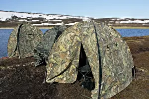 Tents: Tents - photographer's campsite