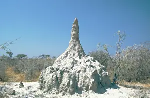 Soils: Termite Hill in the Etosha National Park - its