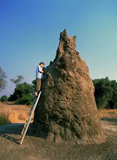 Malawi: Termite Mound - with boy investigating, up ladder