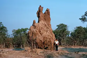 Habtiat: Termite Mound - small boy by large termite hill