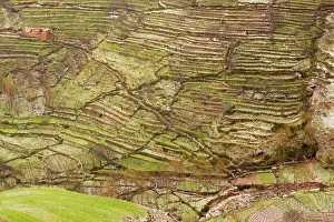 Berbers: Terraced hillsides with berber houses near Ait