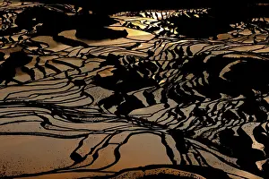 Terraced: Terraced rice fields, Yuanyang, China