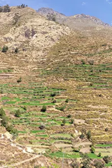 Terraces: Terraces, terraced fields on the mountainside, San