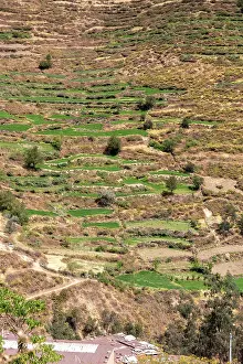 Terraces: Terraces, terraced fields on the mountainside, San