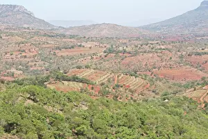 Terracing: Terracing in agricultural development