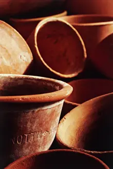 Terracotta: Terracotta flower pots
