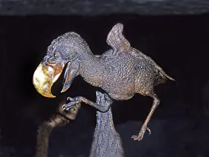 Terror: Terror Bird Reconstruction