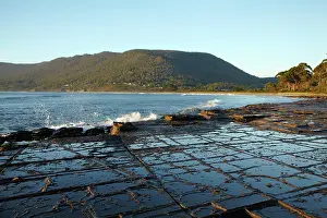Foreshore: Tessellated Pavement, Eaglehawk Neck, Tasman