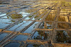 Tasman: Tessellated Pavement, Eaglehawk Neck, Tasman