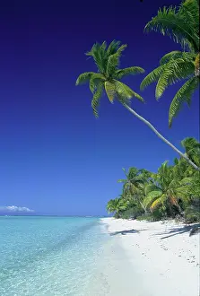 Atoll: Tetiaroa French Polynesia