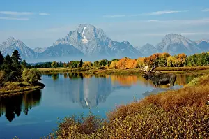 Tetons: Tetons with Moose