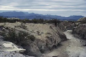 Chihuahuan: Texas Arroyo