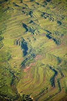 Paddock: Texas Downs Station, East Kimberley Region