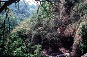 Alan Greensmith: THAILAND - Khoa Yai National Park - view from Heo