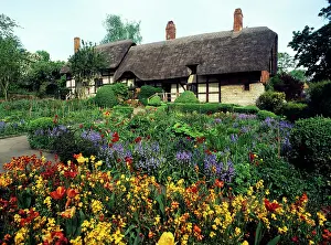 Housing: Thatched Cottage