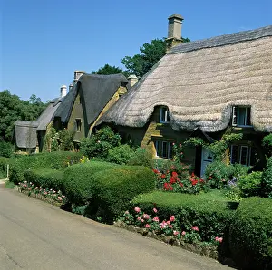 Thatch: Thatched Cottages