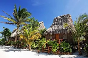 290419: Thatched roof bungalows between palm trees in San