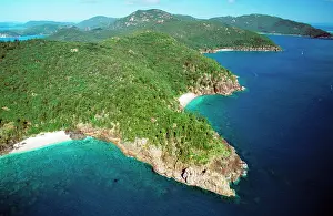 Whitsunday: 'The Wood PileI, Hook Island Whitsunday Group