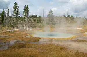Geysers: Thermal pool activity - Old Faithful area