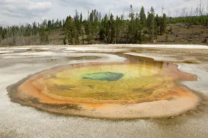 Geysers: Thermal Pool - Old Faithful area