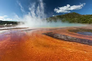 Midway: Thermophile Bacterial Mats - and steam rising from