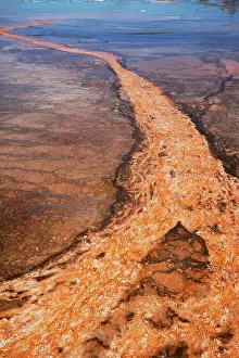Bacterium: Thermophilic bacterial mats in Hotspring, Grand