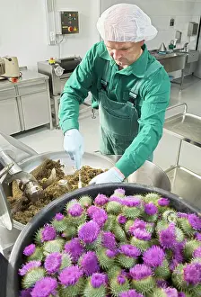 Scotch: Thistle