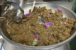 Crushed: Thistle