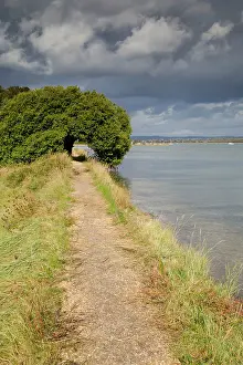 Chichester: Thorney Island