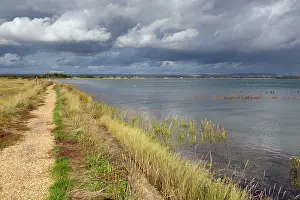 Chichester: Thorney Island