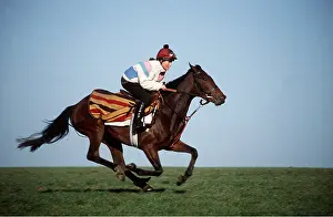 Racing: Thoroughbred HORSE & Rider - Galloping
