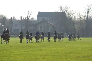 Trained: Thoroughbred racehorses being trained by riders