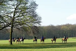Trained: Thoroughbred racehorses being trained by riders