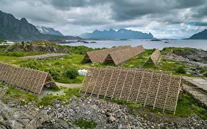 Austvgy: Thousands and thousands of stockfish Fish heads
