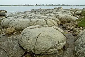 Fossilised: Thrombolites at Flower's Cove - Fossilised Cambrian