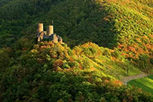 Surrounded: Thurant Castle surrounded by woods and vineyards
