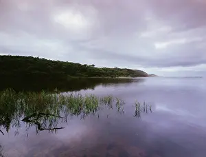 Gippsland: Thurra River, Croajingolong National Park, East