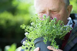 Relationship: Thyme