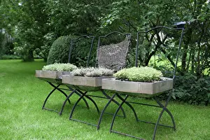 Sufficient: Thyme