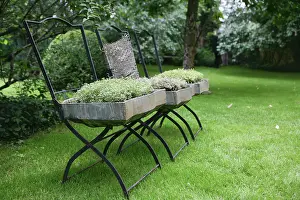 Sufficient: Thyme
