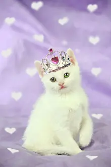 Tiara: CAT