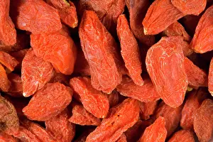 Chinense: Tibetan Goji berry or Wolf berry