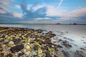 Groningen: Tidal marsh in Natura 2000 area Dollard on the coast of Groningen