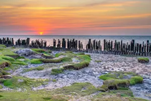 Waddenzee: Tidal marsh in Natura 2000 area Waddensea on the coast near Peassens Moddergat