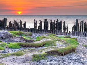 Waddenzee: Tidal marsh in Natura 2000 area Waddensea on the coast at Peassens Moddergat