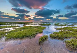 Groningen: Tidal marsh in Natura 2000 area Waddensea on the Groningen coast in the Netherlands